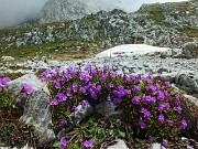 Solstizio d’estate …freschissimo alla Grotta dei Pagani in Presolana il 21 giugno 2014 - FOTOGALLERY